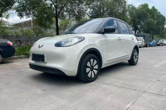 五菱汽车 五菱缤果 2024款 203km 轻享款