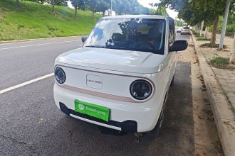 吉利银河 2024款 熊猫mini 200km 耐力熊