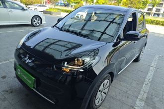 五菱汽车 五菱缤果 2023款 333km 快享款