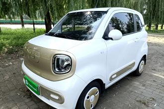 奔腾小马 2024款 170km 活力马