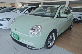 欧拉好猫 2023款 401km标准续航 豪华型 磷酸铁锂