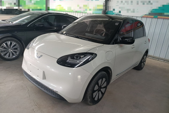 五菱汽车 五菱缤果 2023款 333km 灵犀互联+款