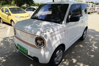 吉利银河 2024款 熊猫mini 200km 耐力熊