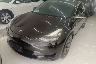 特斯拉 Model 3 2019款 标准续航后驱升级版