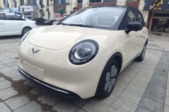 五菱汽车 缤果Pro 2026款 330km 尊享款