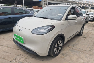 五菱汽车 五菱缤果 2024款 333km 悦享款