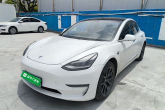 特斯拉 Model 3 2020款 改款 长续航后轮驱动版