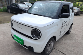 吉利银河 2024款 熊猫mini 200km 耐力熊