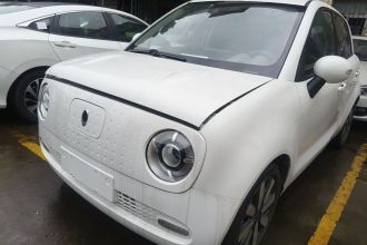 欧拉黑猫 2019款 351km 灵智版