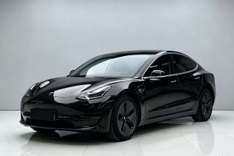 特斯拉 Model 3 2020款 改款 标准续航后驱升级版