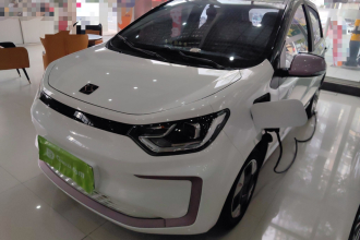 思皓 2022款 花仙子款 四叶草