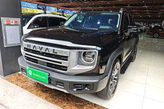 哈弗大狗 2024款 1.5T DCT拉布拉多版