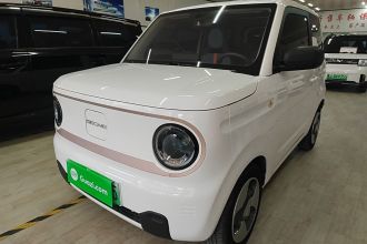 吉利银河 2023款 熊猫mini 200km 灵动熊