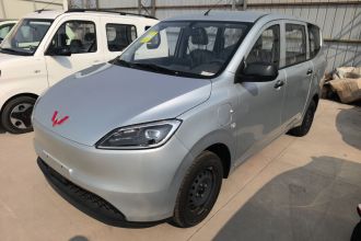 五菱汽车 五菱宏光新能源 2024款 纯电版 300KM 标准型