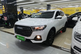 哈弗H6 2023款 国潮版 1.5T 自动都市版