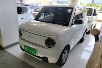 吉利银河 2024款 熊猫mini 200km 耐力熊