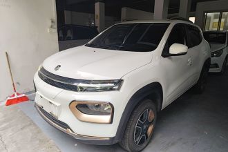 东风纳米EX1 2023款 PRO 轻风版标准型