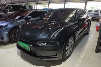 极氪001 2021款 长续航双电机 WE版