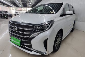 广汽传祺 传祺M8 2023款 领秀系列 390T 至尊版