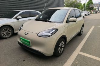 五菱汽车 五菱缤果 2024款 333km 悦享款