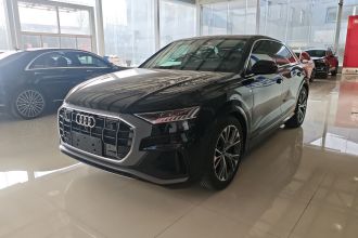 奥迪Q8 2023款 55 TFSI 豪华动感型