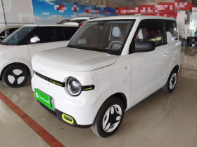 吉利银河 2025款 熊猫mini 210km 元气熊