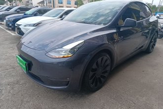 特斯拉 Model Y 2022款 Performance高性能全轮驱动版