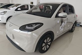 五菱汽车 五菱缤果 2023款 203km 舒享款