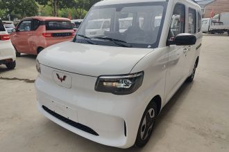 五菱汽车 五菱之光新能源 2025款 305km 进取型
