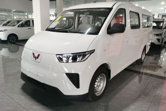 五菱汽车 五菱扬光 2025款 310KM 客车版宁德时代定制版