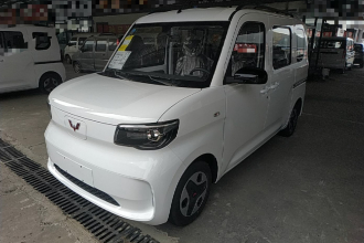 五菱汽车 五菱之光新能源 2025款 305km 进取型