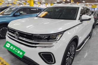 大众 揽巡 2023款 330TSI 豪华巡逸版