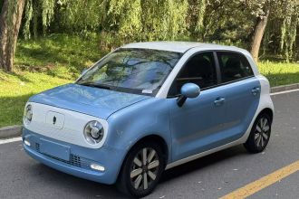 欧拉黑猫 2021款 351km 豪华型