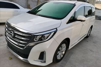 广汽传祺 传祺M8 2020款 领航款 390T 尊享版