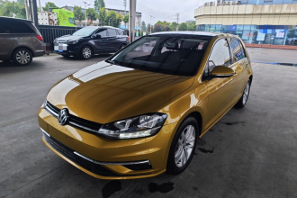 大众 高尔夫 2019款 1.6L 自动舒适型 国V