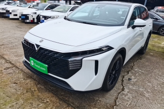 启辰大V 2023款 260T 爱豆版 Pro