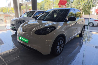 五菱汽车 五菱缤果 2025款 333km 悦享款