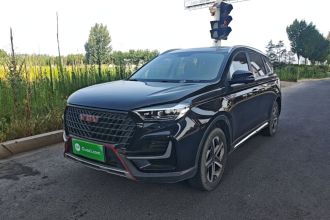 中国重汽VGV VGV U75PLUS 2021款 2.0TGDI 奇趣山地版 7座