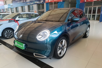 欧拉好猫 2021款 400km标准续航 维纳斯版 磷酸铁锂