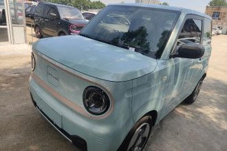 吉利银河 2023款 熊猫mini 200km 灵动熊