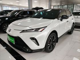 丰田 威飒 2022款 2.0L CVT两驱尊贵版