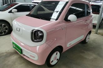 奔腾小马 2025款 222km 闪电马