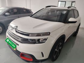 雪铁龙 天逸 C5 AIRCROSS 2019款 350THP 舒享型 国V