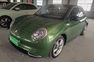 欧拉好猫 2021款 400km标准续航 维纳斯版 磷酸铁锂