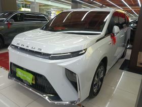 上汽大通MAXUS 大家9 2024款 超混 超长续航草原版 七座