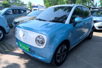 欧拉黑猫 2022款 351km 舒适型 三元锂