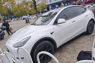 特斯拉 Model Y 2023款 长续航全轮驱动版