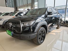 长城 炮 2024款 2.4T越野版自动柴油四驱高阶版