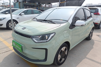 思皓 2022款 花仙子款 四叶草