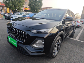 思皓X8 2021款 300T DCT尊贵智联版 5座